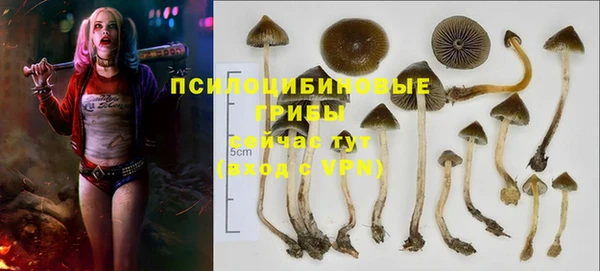 герыч Нягань