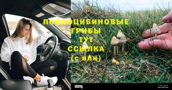 бутик Няндома