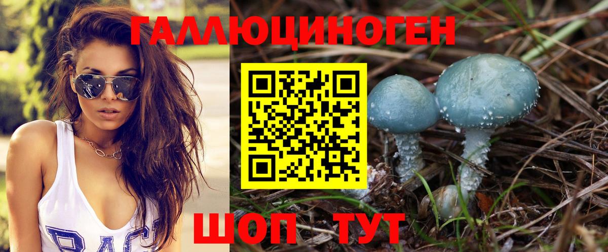 Набережные Челны  как найти   Галлюциногенные грибы мицелий  Вход с VPN  Псилоцибиновые грибы Psilocybe 